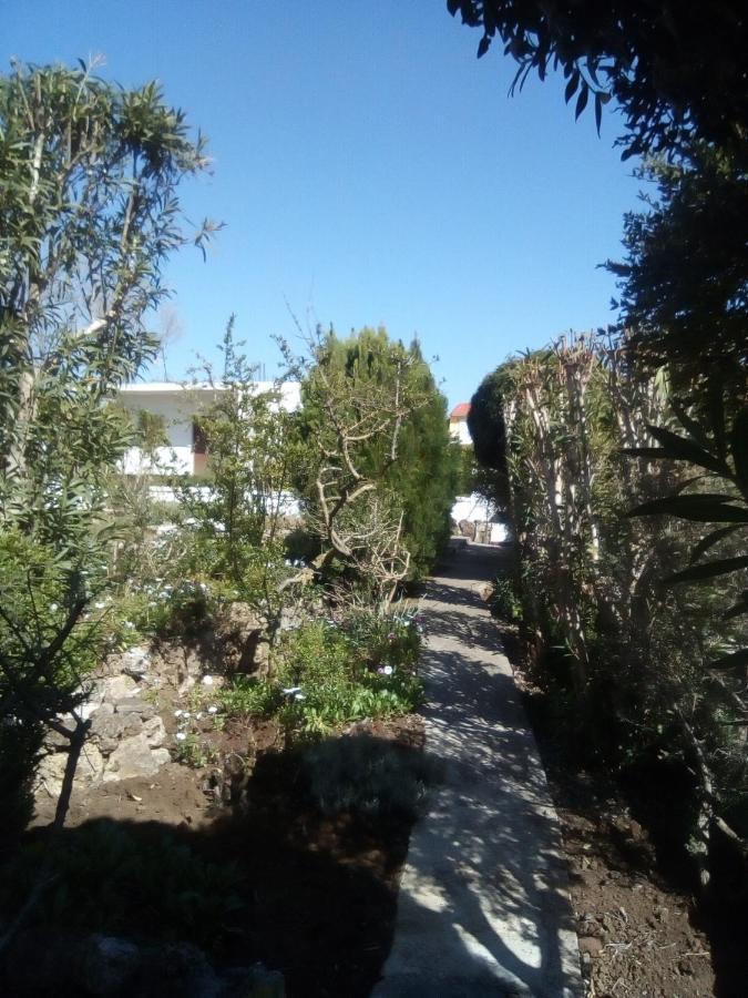 Apartment Kaloudis